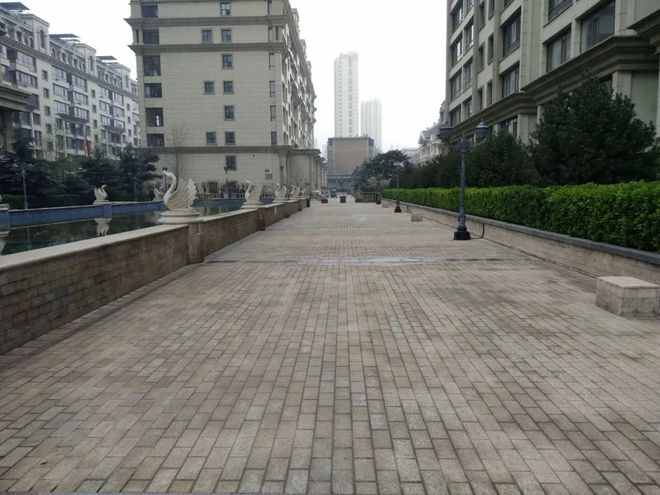 地王健身_健身王sir_健身王是谁