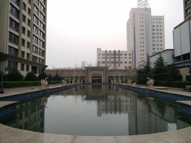 健身王是谁_健身王sir_地王健身