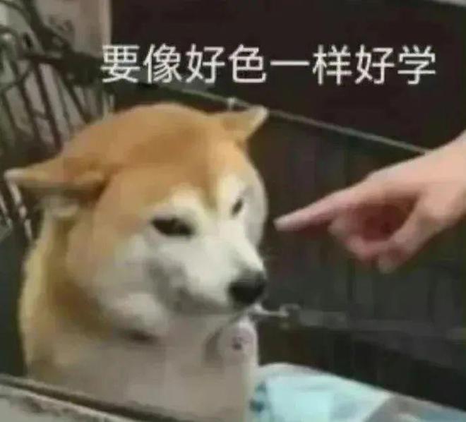 奥运游泳冠军男帅_2021游泳奥运冠军男_奥运会游泳男金牌