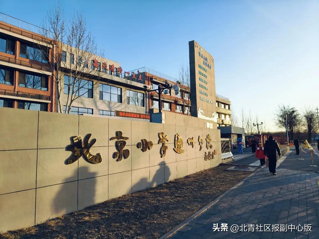 小学篮球赛用几号球_北京市小学生篮球比赛规则_篮球规则小学生