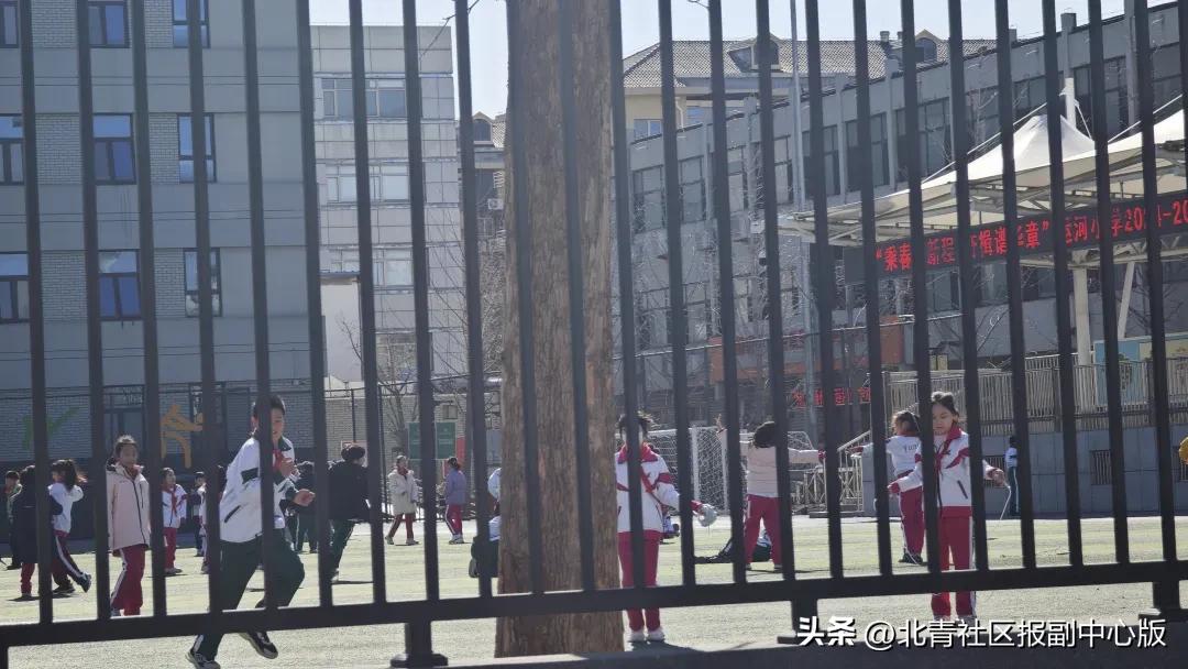 小学篮球赛用几号球_篮球规则小学生_北京市小学生篮球比赛规则
