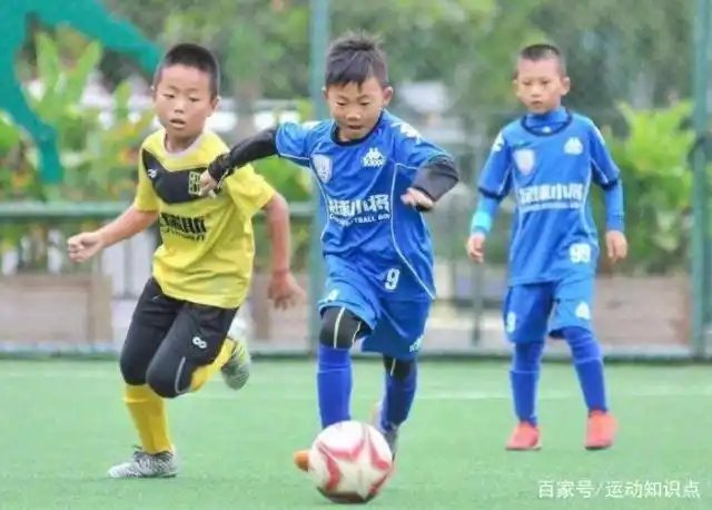 关于足球规则的简介_足球规则小学生重要知识_足球规则小常识50字